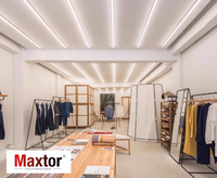 Bande lumineuse LED en silicone 24V étanche, vente directe usine, facile à installer, flexible, linéaire, en silicone souple