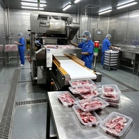 Détecteur de métaux à convoyeur conforme HACCP pour ligne de transformation alimentaire, détection des métaux ferreux, non ferreux et de l'acier inoxydable