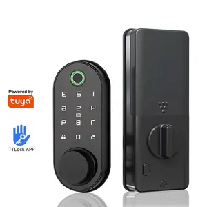 Password di impronte digitali sistema di accesso senza chiave a buon mercato Tuya App di controllo remoto serratura della porta digitale