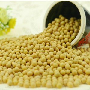 Nihewan Trung Quốc Soja Hạt Protein Cao Soyabean Hữu Cơ Đậu Nành Cho Đậu Hủ - Product Image 6