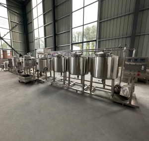 Línea de Producción de Queso Totalmente Automática, Sistema Industrial de Procesamiento de Lácteos, Máquina para Hacer Queso de Alta Capacidad para Fábrica de Alimentos - Product Image 5