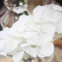 Rozen Eeuwige Rozenblaadjes Voor Altijd Rozen Voor Bruiloft Confetti Deco Geconserveerde Planten En Bloemen Bloemblad Biologisch Afbreekbaar Groot Formaat Y