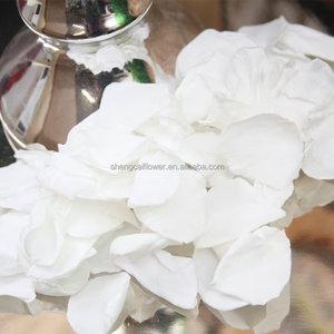 Roses éternelles Pétales de roses éternelles Roses éternelles pour confettis de mariage Décoration Plantes et fleurs conservées Pétales biodégradables Grande taille Y - Product Image 6