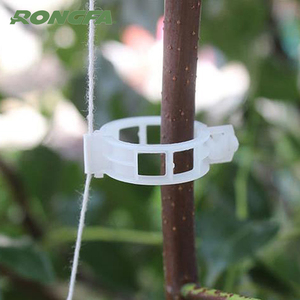 Clips de <span class=keywords><strong>tomate</strong></span> de flores de jardín, ramas de frutas, injerto de plantas agrícolas, Clips de <span class=keywords><strong>tomate</strong></span> Jumbo para plantas trepadoras, Clips de fijación de pared - Product Image 1