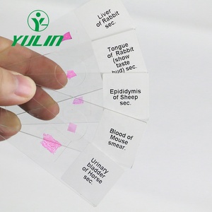 100% scienza medica di fabbrica tutti i tipi di vetrini personalizzati microbiologia umana ematologia preparati diapositive sangue striscio - Product Image 2