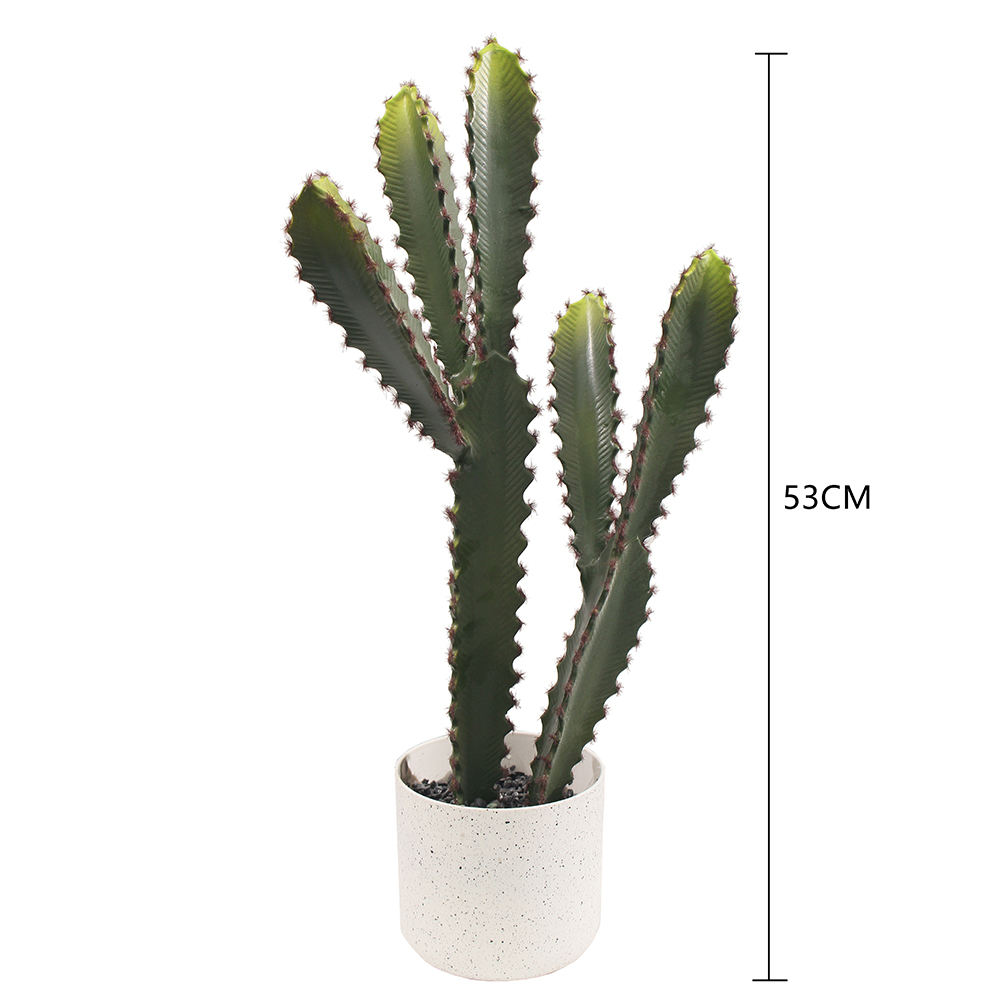 53CM