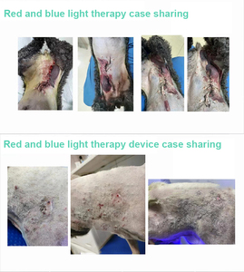 Alat terapi <span class=keywords><strong>Laser</strong></span> dingin infra merah genggam, alat terapi <span class=keywords><strong>Laser</strong></span> dingin penghilang rasa sakit LLLT tingkat rendah untuk fisioterapi anjing kucing hewan peliharaan manusia - Product Image 6