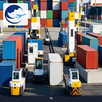 Logística Semanal de Contenedores Puerta a Puerta de Shenzhen a Argentina, Servicio de Despacho de Aduanas DDP DDU