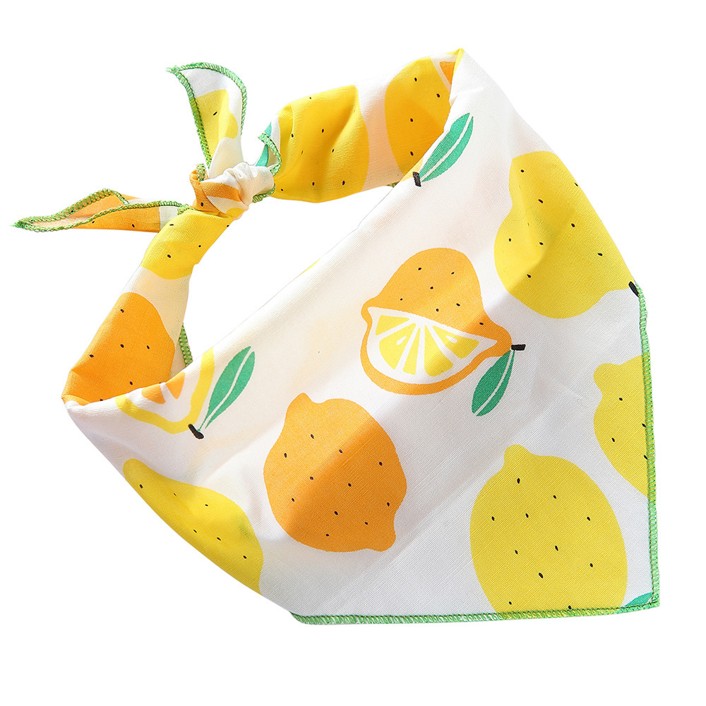 SJJ50 citron