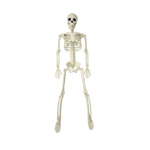 Figuras de Esqueletos de Halloween CT de 40cm, 70cm, 90cm y 165cm, Decoraciones de Plástico Articuladas para Uso en Interiores y Exteriores - Product Image 5