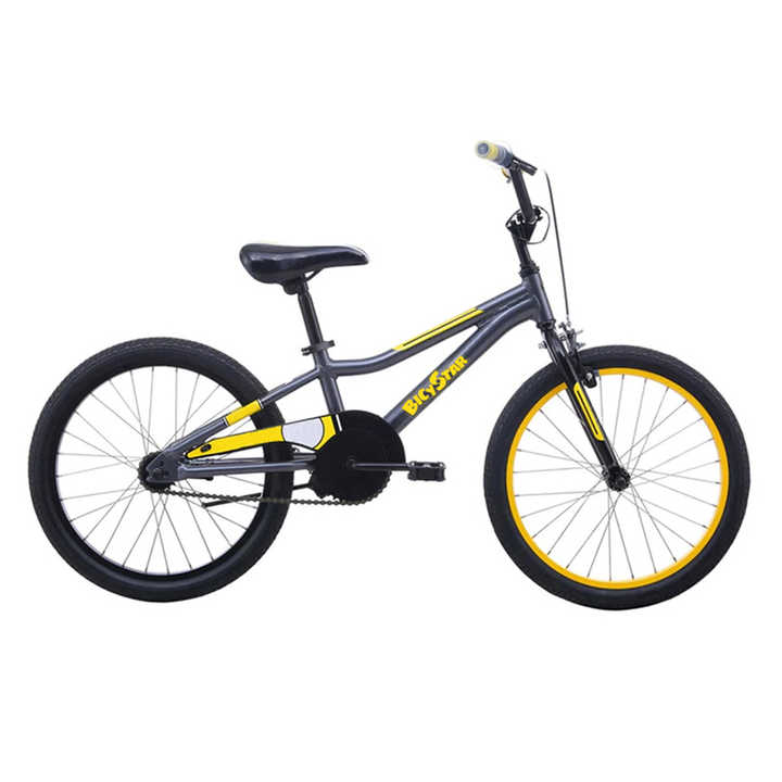 Malvern star radmax 16 hotsell