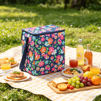 Sac isotherme classique 15L à motif dessin animé, sac à déjeuner thermique en polyester imperméable avec doublure en feuille d'aluminium, expédition directe usine