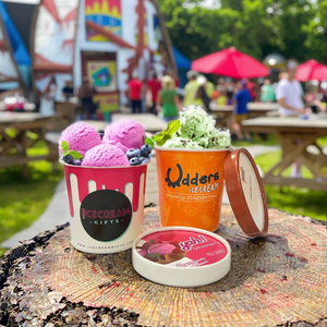 Cấp Thực Phẩm Tùy Chỉnh In 3/5/8/16/18 Oz Biểu Tượng Tùy Chỉnh <span class=keywords><strong>Ice</strong></span> <span class=keywords><strong>Cream</strong></span> Giấy Gelato Cup Với Nắp Và Muỗng - Product Image 4