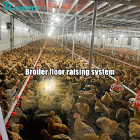 Mangeoire automatique pour poulets de chair, équipement d'élevage avicole, ligne d'alimentation en paniers avec abreuvoir à tétine pour l'élevage de poulets de chair