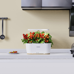 2025 Offre Spéciale Intelligent Wi-Fi & Bluetooth Smart Pots & Jardinières Jardin Pot de fleurs Contrôle via l'<span class=keywords><strong>application</strong></span> Tuya - Product Image 2
