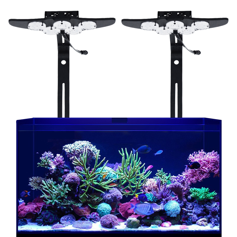 High Brightness Marine LED Fish Tank