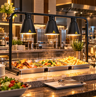 Lampe chauffante commerciale pour aliments, support de lampe chauffante pour buffet, 2 ou 3 têtes, lumière infrarouge pour réchauffer les aliments pour restaurant, hôtel, buffet