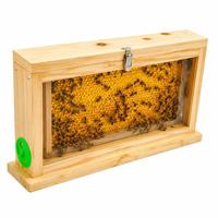 Boîte d'observation des abeilles en bois avec panneaux acryliques double face et aérations – Observatoire apicole pour cadres de ruche