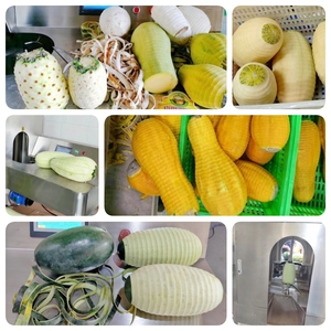 Stainless Steel Automatic Fruit &amp; <strong>Veg</strong> <strong>Peeler</strong> - Product Image 4