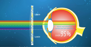 Lentilles de lunettes en plastique asphérique, 1, 60mr-8, <span class=keywords><strong>bloc</strong></span> bleu, asphérique, HMC, UV420 - Product Image 5