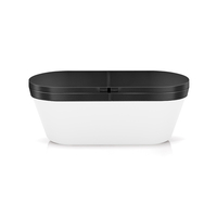 Baignoire de thérapie par le froid autoportante en acrylique sur mesure Himalaya IceTech Factory OEM avec 10 jets et refroidisseur d'eau intelligent Wi-Fi