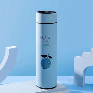 Bouteille d'eau moderne en acier inoxydable de 500 ml avec affichage numérique de la température, isolation thermique sous vide de 6 à 12 heures, flacon isotherme 304 - Product Image 4