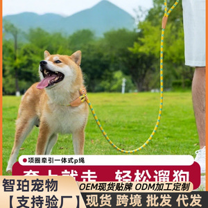 Correa para perros, cadena tipo P, cuerda tipo P, correa para pasear perros, entrenamiento para perros pequeños, medianos y grandes, a prueba de explosiones, con sistema de anudado, dorada - Product Image 3
