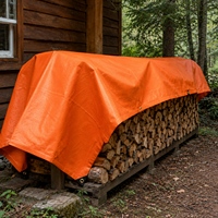 Bâche Coréenne Ripstop Renforcée à Œillets, Imperméable, en Toile de Polyéthylène pour Abri Agricole