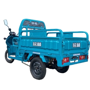 Gemotoriseerde Vracht Driewieler Zware Ladingsvrachtwagen 200cc/250cc/300cc Motor - Product Image 4