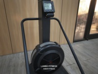 Máquina de esquí mecánica de resistencia a la fricción de aire, simulador de esquí para gimnasio, equipo de ejercicio y fitness de uso comercial