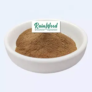 オイスターマッシュルームパウダー100% ピュア天然オイスターマッシュルームエキス卸売価格 - Product Image 1