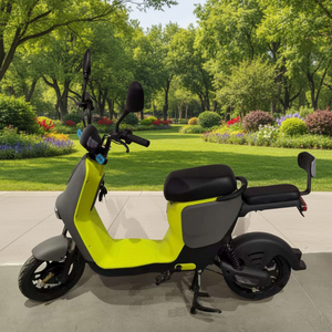 Vélo <span class=keywords><strong>cargo</strong></span> électrique pliable 48V pas cher, dernière version, avec moteur à moyeu avant, vélo de ville pour adultes - Product Image 2