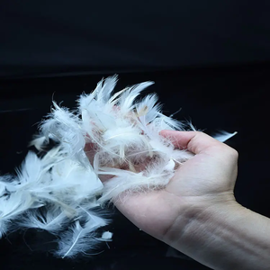 Plumas de ganso blancas lavadas de <span class=keywords><strong>2</strong></span>-4CM al por mayor de fábrica y plumón de pato gris o plumón de pluma de ganso materia prima - Product Image 5