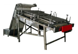 Machine à peler les coquilles de crevettes / Machine à retirer les coquilles de crevettes / Éplucheur de crevettes à vendre - Product Image 2