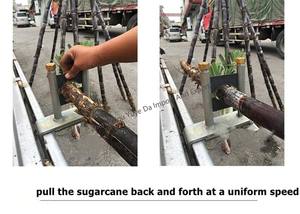 Peladora <span class=keywords><strong>de</strong></span> piel <span class=keywords><strong>de</strong></span> caña <span class=keywords><strong>de</strong></span> azúcar portátil <span class=keywords><strong>de</strong></span> trabajo rápido/máquina <span class=keywords><strong>de</strong></span> <span class=keywords><strong>afeitar</strong></span> <span class=keywords><strong>de</strong></span> caña <span class=keywords><strong>de</strong></span> azúcar - Product Image 5