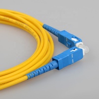 Customizable Length Optical Fiber Patch Cord Single Mode SC/UPC-SC/UPC 0.9mm 2.0mm 3.0mm 9/125um FTTH Pigtail PVC/LSZH SM SX