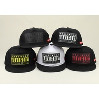 Gorra de Béisbol y Gorra Snapback con Logotipo de Goma Personalizado