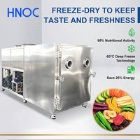 HNOC Industriële 200kg Vriesdroogmachine voor Fruit en Groenten