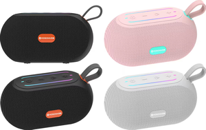 Haut-parleur portable étanche IPX7, mini radio FM sans fil avec fente pour carte TF, haut-parleur extérieur pour le camping/la randonnée - Product Image 5