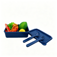 Kleine, ecovriendelijke, biologisch afbreekbare rechthoekige rijstschil fruitdoos voor afhaalmaaltijden, school- en kampeerlunches