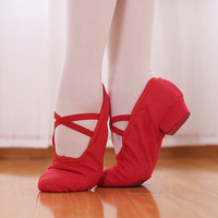 BW08 Chaussures de danse à talons souples pour femmes, chaussures de danse folklorique classique professionnelles pour adultes, chaussures d'entraînement pour professeurs de danse