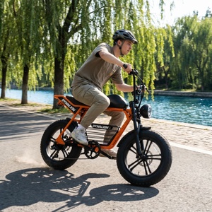 Rugged Fat Tire E bicycle Anti Corrosion Frame for Coastal <strong>Travel</strong> and Forest Path Exploration - Product Image 2