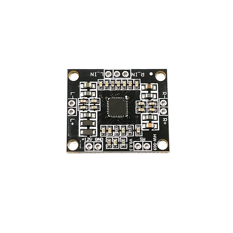 Pam8610 amplifier board 2x15W double track