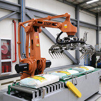 Robot de palettisation robuste STEP SP180/3200 180 kg pour l'empilage de sacs, la palettisation de cartons et la manutention de matériaux en entrepôt