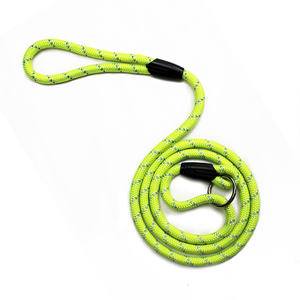 समायोज्य नायलॉन चिंतनशील पर्ची लीड पालतू पालतू कुत्ते के लिए रस्सी कस्टम कुत्ते पट्टा - Product Image 6