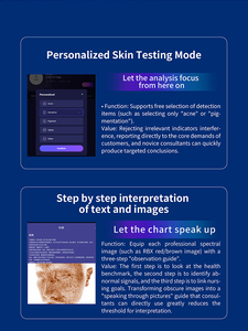 2026 Nueva Máquina Profesional X3pro para Análisis de Piel, Analizador de Tono y Humedad de la Piel Facial, Escáner Facial 3D con Detección IA - Product Image 4