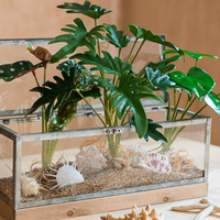 Plante Artificielle Feuille de Tortue Verte pour Aménagement Paysager, Décoration de Bureau, Petite Plante Verte pour Composition Florale