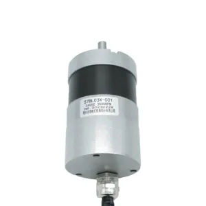 China Wholesale Customize 24V 36V 48V NEMA 23 Brushless Motor Kit With Analog Controller Integrated