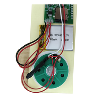 Kartu pemutar musik dapat diprogram kustom Chip suara USB perekam cahaya DIY kertas modul suara MP3 Sensor suara