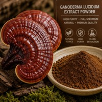 Extrait de champignon Reishi pur naturel en poudre, 30% de polysaccharides, double extraction, qualité alimentaire, complément alimentaire
